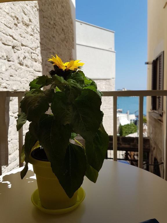 La Banchina Holiday Rooms Trani Eksteriør billede
