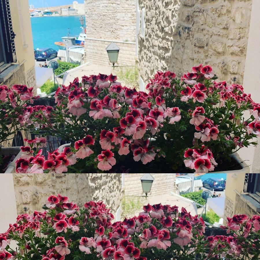 La Banchina Holiday Rooms Trani Eksteriør billede